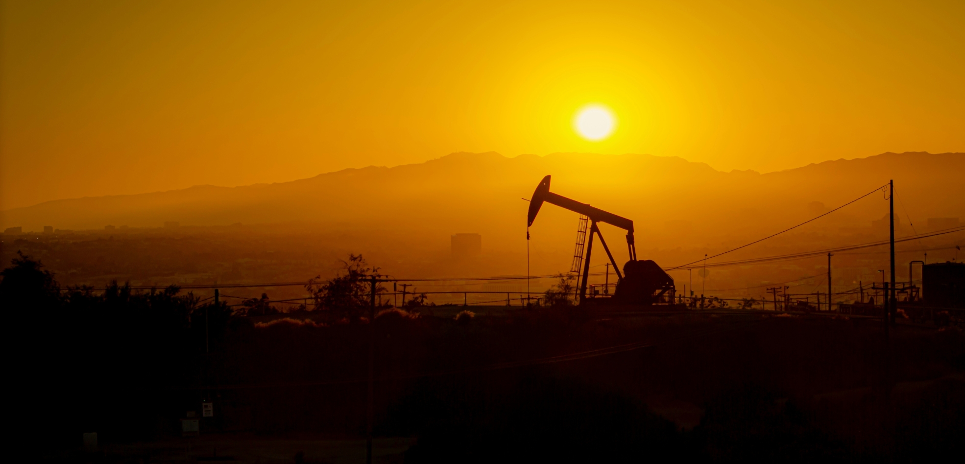 Rinoil Services